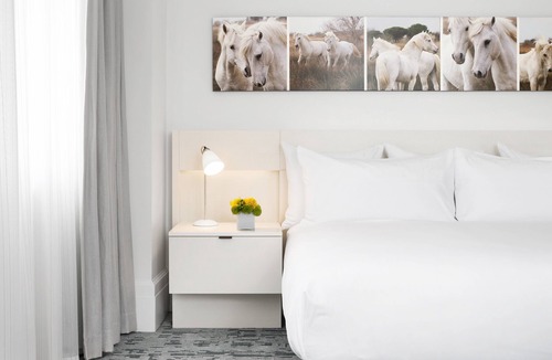 Downtown Hotel | 21c Museum Hotel Lexington