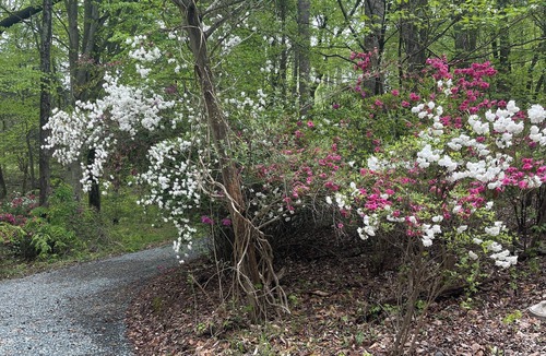 Greensboro Cabin | 3-bedroom cabin in peaceful Greensboro with cozy charm