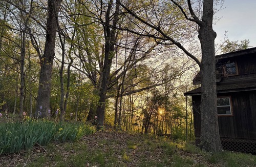 Pembroke Cabin | 3-room cabin near Blacksburg with cozy charm