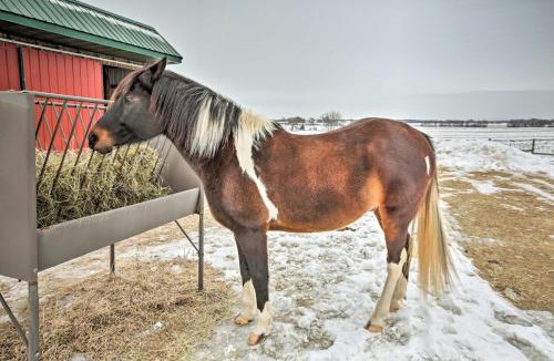 Burlington House | 7-Acre Working Farm Near Lake Geneva: Pets Welcome
