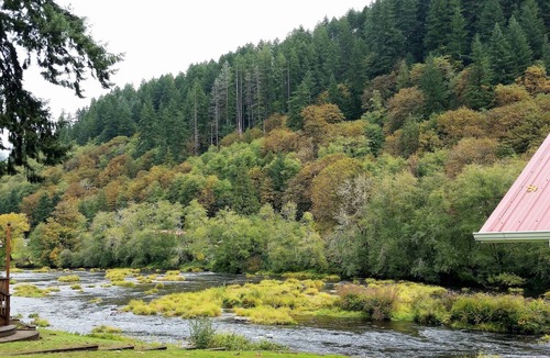 Mapleton Cottage | A River Cottage for Every Season