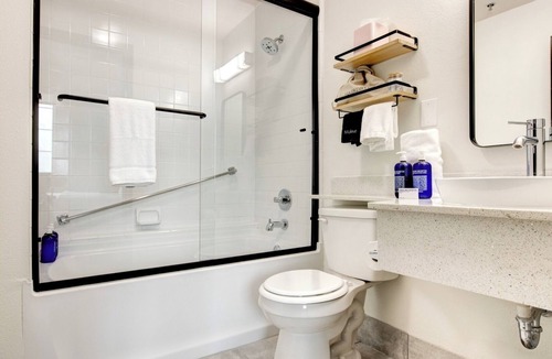 Lexington Hotel | Accommodation Right in the Heart of the City | Pets Are Allowed