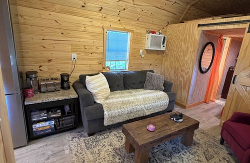 Enoree Cabin | Adorable 2-bedroom/loft cabin with AC in charming Enoree on the river