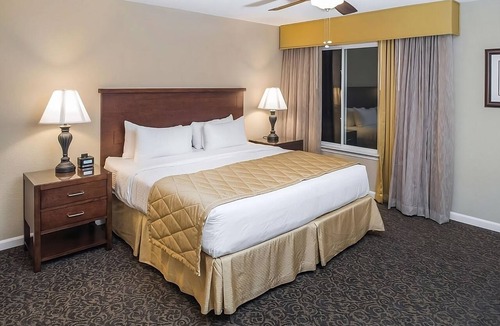 Berkeley Hotel | Always a Great Idea To Unwind! 2 Amazing Suites w/Kitchen and Living Room