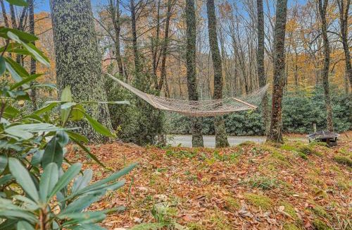 Sugar Mountain House | Amazing Treehouse Chalet at Sugar Mountain Resort