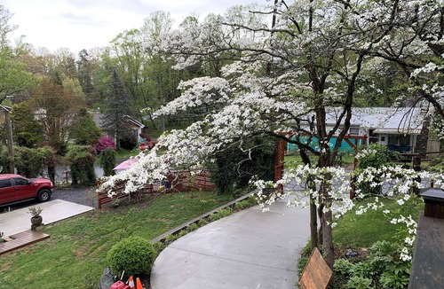 Burton Street House | Asheville Romantic Restful Retreat
