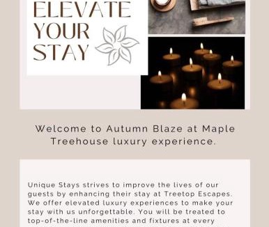 Wildwood House | Autumn Blaze at Maple Treehouse