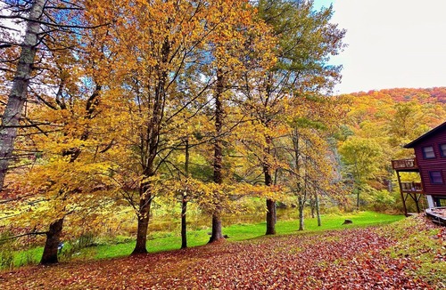 Boone Cabin | Beautiful Riverfront Cabin located on New River, Wi-Fi, Pool Table