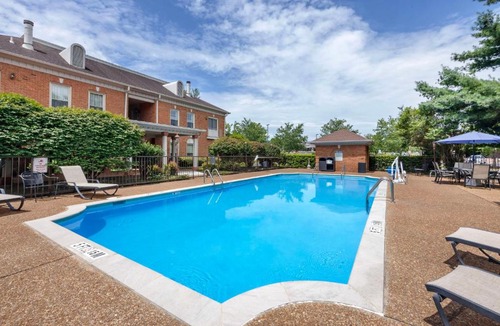 Spring Hill Hotel | Best Western Spring Hill Inn & Suites