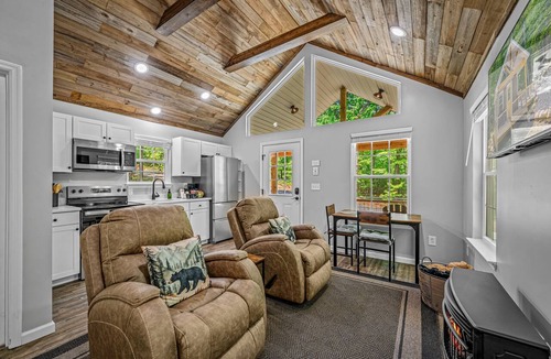 Fort Payne Cabin | Black Bear Cave at Woodland Retreat at DeSoto | King Bed | Walking Ramp | Wi-Fi