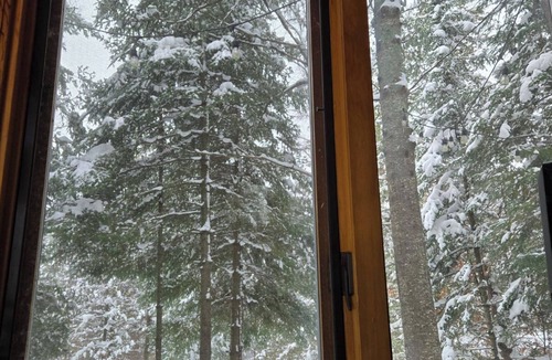 Frederic Cabin | Black Bear Lodge: Fall Colors on the Au Sable | Cozy Riverfront Cabin