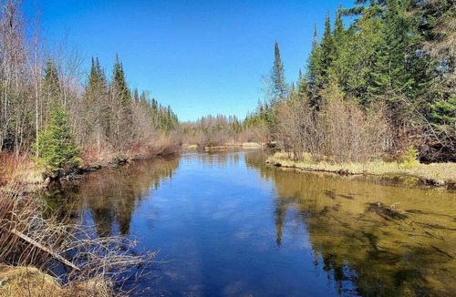 Frederic Cabin | Black Bear Lodge: Fall Colors on the Au Sable | Cozy Riverfront Cabin
