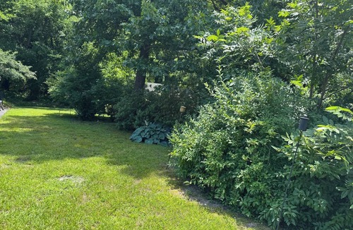 Blackstone House | Bluebird on Main-cozy and cheerful 3 bedroom house.