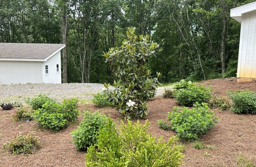 Wildwood Cabin | Cabin-View of woods-Private deck-15 mins to Chattanooga-Hiking