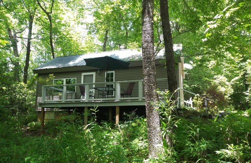Brevard Cabin | Cabin with two trout rivers onsite. Brevard and Pisgah National Forest close by.