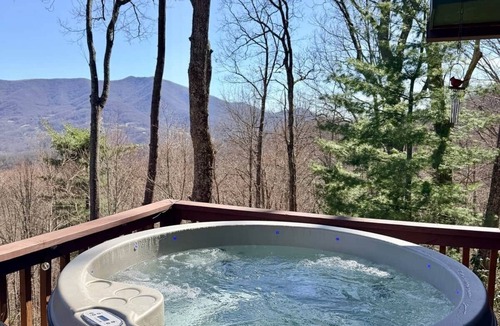 Waynesville House | Cardinals Nest In The Smokies ~ Family Friendly
