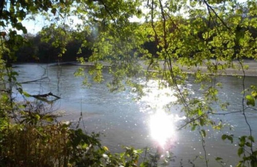 Freedom RV Rental | Celtic Glen Farm Stay - Shady pasture overlookn