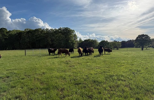 Abbeville House | Charming mobile home that you relax in the country with rolling pasture views