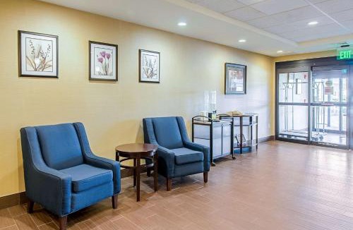 Wytheville Hotel | Comfort Suites Wytheville near Conference Center
