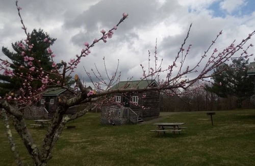 Fancy Gap Cabin | Couple's Getaway Camping Cabin with 5-Bathroom Bath House Nearby, Pets Welcome