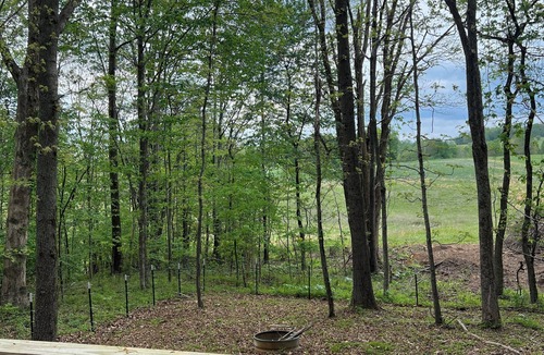 Byrdstown Cabin | Cozy 1-bedroom cabin in fantastic Monroe with refreshing AC at Dale Hollow Lake