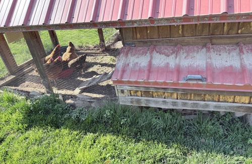 Fort Valley Cabin | Cozy 1bedroom cabin in lovely Fort Valley with AC on beautiful privatehorse farm