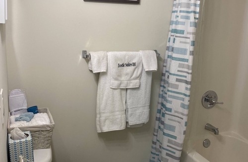 Shockoe Bottom Apartment | Cozy “Brick Beauty”Richmond..FullBd-1 bath,Roof Pool,VCU, walkable neighborhood