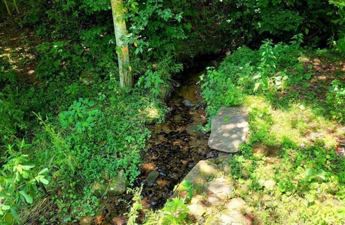 Sylva Cabin | Cozy Cabin Surrounded By Streams