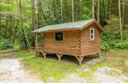 Rogers House | Cozy Creek - Minimalist, Outhouse, Firepit, Creekside, Private