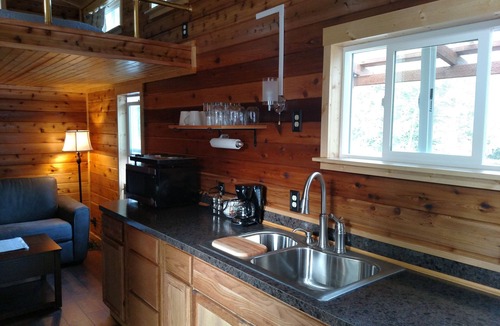 Beaver Cabin | Cozy Creekside Tiny Home outside Forks, WA; Right in Olympic National Forest!