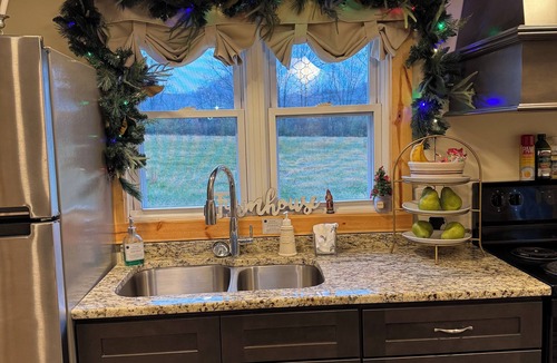 Stanton House | Cozy Farmhouse Downtown Wi-Fi Quiet Setting 10 Minutes to RRG