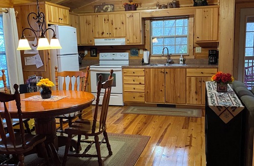 Cranberry Falls Cabin | Cozy Mountain Cabin - Amazing View! Central heat/AC, fireplace, firepit