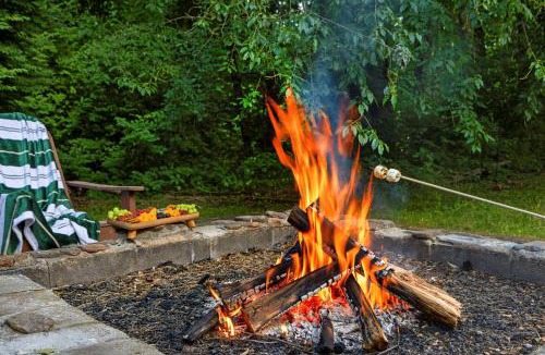 Whittier House | Cozy Smoky Mtn Cabin Near Bryson City Fire Pit