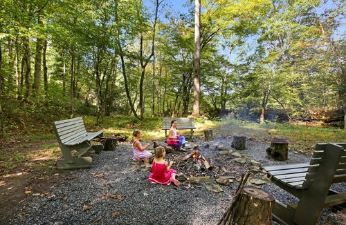 Hayesville Cabin | Creekfront! Private ponds for fishing! Mountain views & trails. Pet-friendly