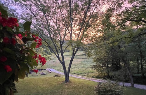 Irvine Cabin | Creekside B&B Cabin – Breakfast Included – Award-Winning Appalachian Farm
