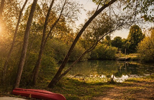 Louisville Cabin | Creekside Cabin - 20 Peaceful Acres with Pond View