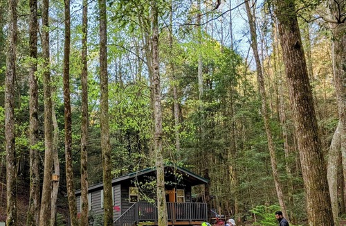Ellijay Cabin | DEER RUN Private cabin at Mulberry Gap in adorable Ellijay with AC, WiFi