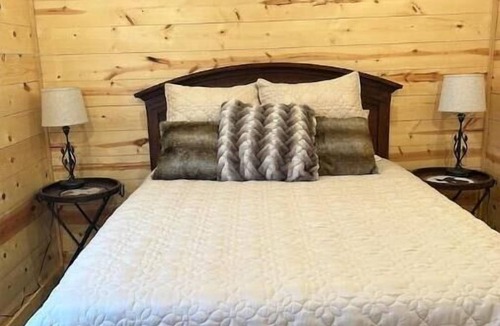 Llano County Cabin | Down Horn Ranch-Raylee cabin