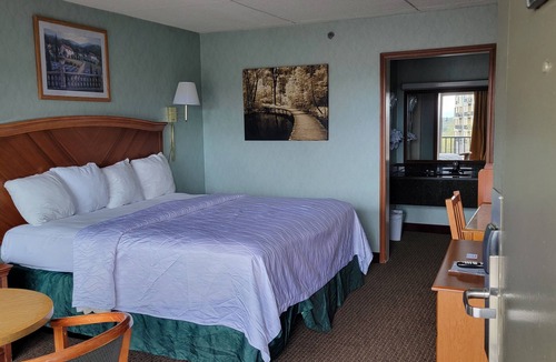 Asheville Hotel | Downtown Inn #3- King Room