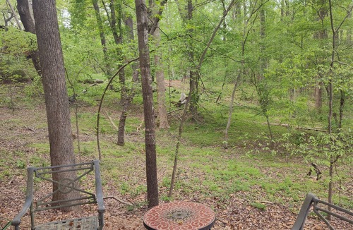 Durham Cottage | Duke Forest Hideaway