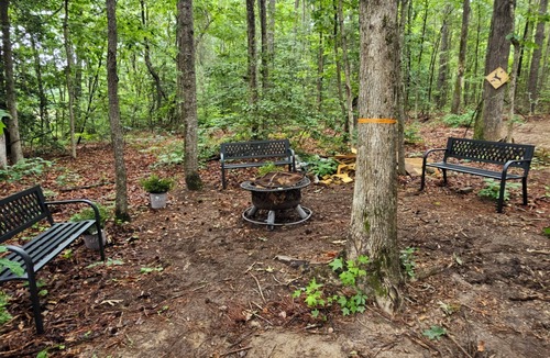 Gumberry Cabin | Enjoyable a cozy cabin in charming Enfield perfect for relaxing stays