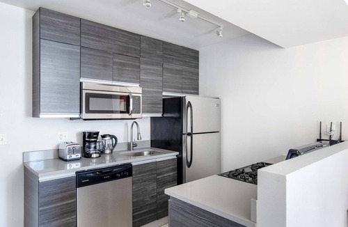 South Loop Apartment | Exquisite South Loop 1BR nr L & Grant Park, by Blueground