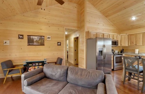 Murphy Cabin | Fireside Haven: 2BR/2BA, Arcade, Smokies Views, Near Town