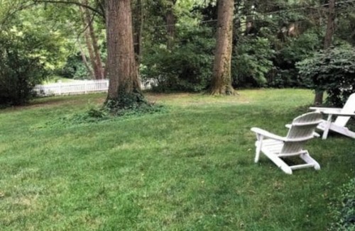 Indianapolis Apartment | Fox Knoll 1-Studio-Sleeps 2-Beautiful Setting! Indy 500! Grand Park, Concerts!