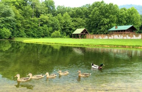 Wears Valley House | Free Tickets! Windy Ridge-Pet-Friendly wfee Cabin with Fishing Access & Fenced In Yard