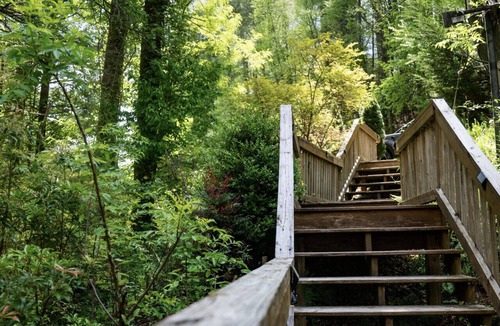 Blue Ridge Cabin | Fun on the River - Swim, Fish, Hike Near Tubing