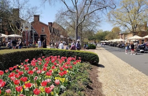 Kingsmill Condo | Golf Course Studio - Kingsmill, Minutes to Busch Gardens & Colonial Williamsburg
