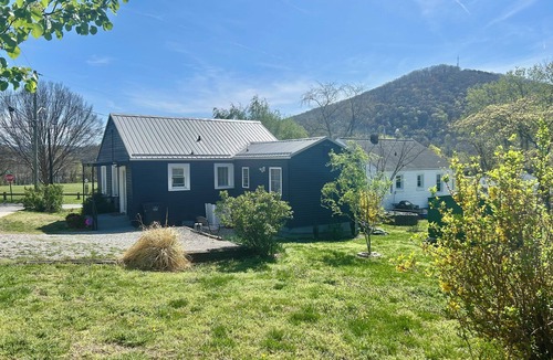 Burnt Chimney House | GUEST FAVORITE! ROANOKE RIVER&BIKE TRAILS. PET FRIENDLY WEEKLY DISCOUNTS HOT TUB
