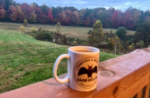Kerr Apartment | Haan Hollow – Secluded Log Cabin on 12 Private Acres in Gallipolis, Ohio