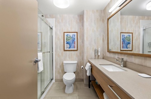 Carrollton Hotel | Hampton Inn Carrollton